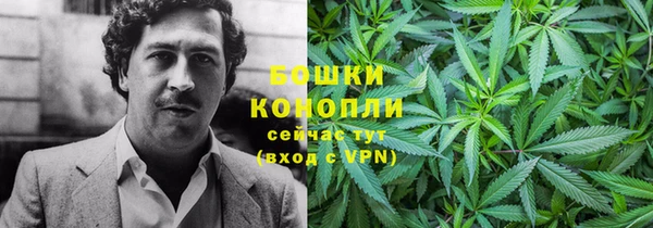МДПВ Белокуриха